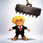 Trump the Ragdoll
